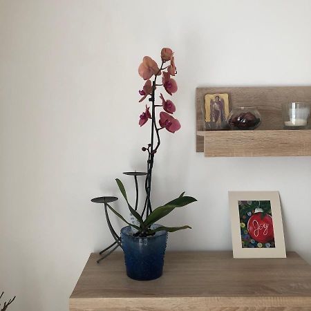 Apartmán Grig Apartament Bukurešť Exteriér fotografie